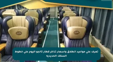تعرف على مواعيد انطلاق وأسعار تذاكر قطار تالجو اليوم على خطوط السكك الحديدية